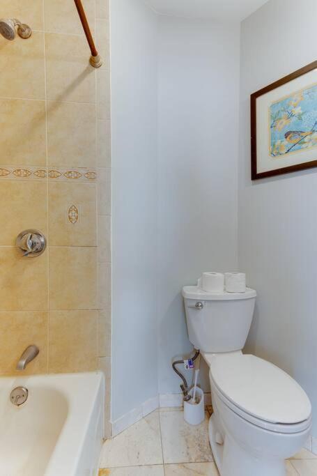 New! Boston Condo Near Mbta, 3 Mi To Fenway! Buitenkant foto