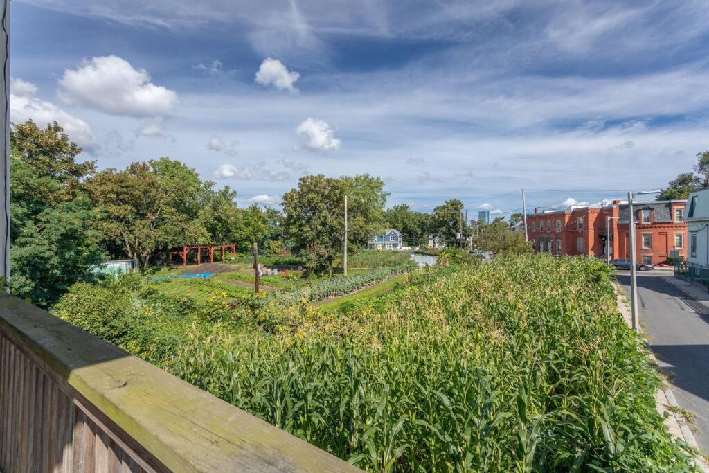 New! Boston Condo Near Mbta, 3 Mi To Fenway! Buitenkant foto